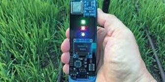 Soil sensors